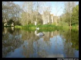 D. Carlos Residencial Pensjonat