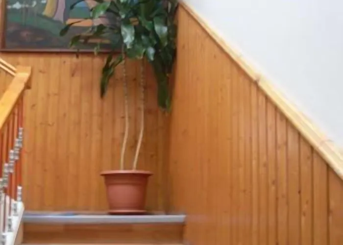 D. Carlos Residencial